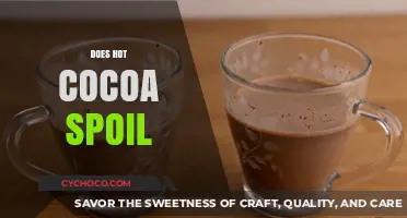 The Shelf Life of Comfort: Does Hot Cocoa Spoil?