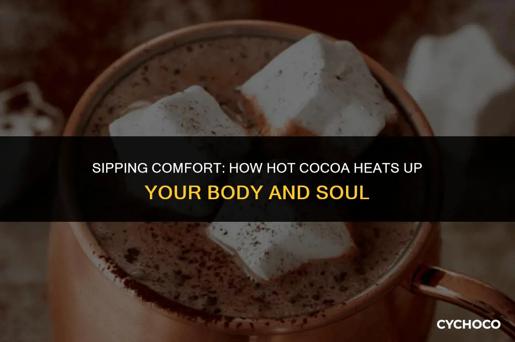 does hot cocoa warm you up