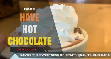 Savoring Sweetness: IHOP's Hot Chocolate Delight Explored