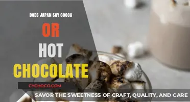 Exploring Japan's Unique Take on Cocoa vs. Hot Chocolate
