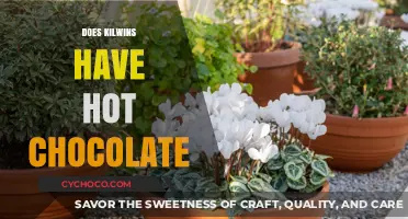 Indulge in Warmth: Kilwins' Hot Chocolate Delights Await!