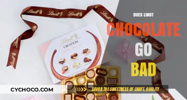 Does Lindt Chocolate Expire? Shelf Life and Storage Tips Revealed