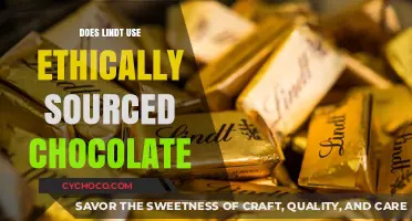 Unveiling Lindt's Chocolate Sourcing Ethics: A Sweet Truth?