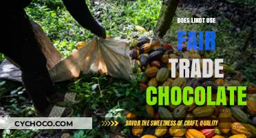 Ethical Indulgence: Lindt's Journey with Fair Trade Chocolate