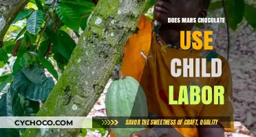 Unveiling the Truth: Mars Chocolate and Child Labor Allegations