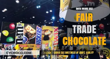Decoding Mars' Chocolate Ethics: A Journey into Fair Trade Practices