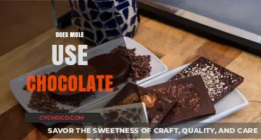 Sweet Deception: Unraveling the Myth of Moles and Chocolate