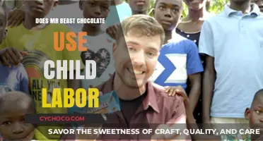Unveiling the Truth: MrBeast's Chocolate and Child Labor Allegations