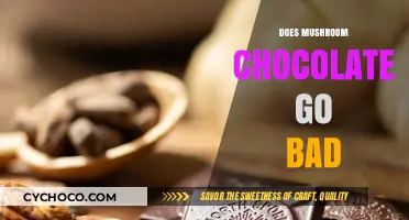 Does Mushroom Chocolate Expire? Shelf Life and Storage Tips Revealed