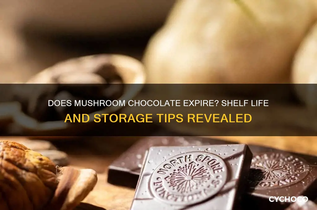 does mushroom chocolate go bad