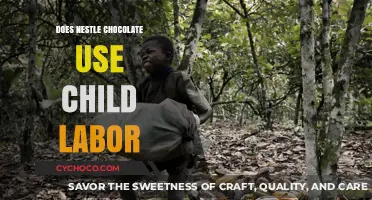 Unsweetened Truth: Child Labor Allegations in Nestlé's Chocolate Supply Chain