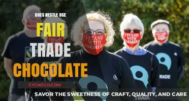Ethical Sourcing in Focus: Does Nestlé Support Fair Trade Chocolate?