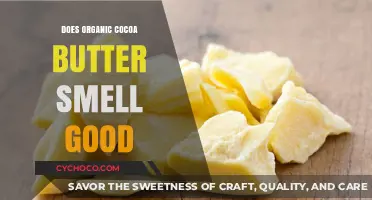 The Irresistible Aroma of Organic Cocoa Butter: A Sensory Delight