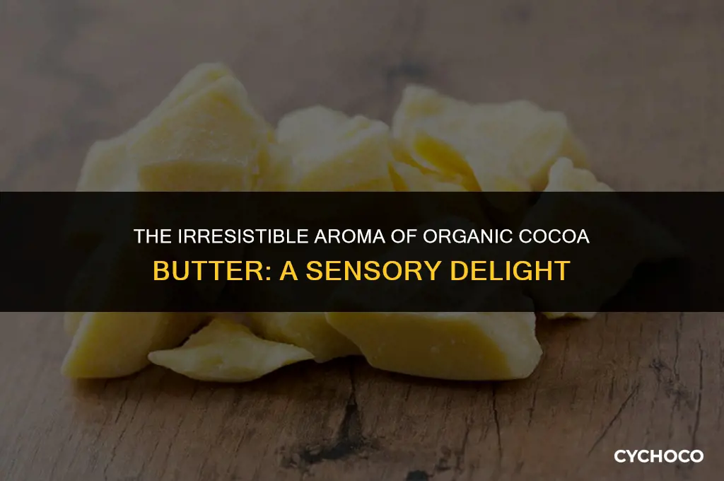 does organic cocoa butter smell good