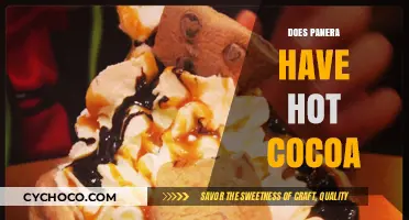 Savoring Warmth: Panera's Hot Cocoa Availability Explored