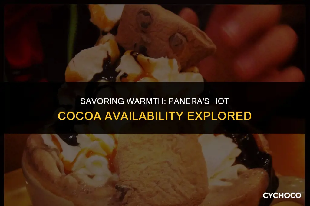 does panera have hot cocoa