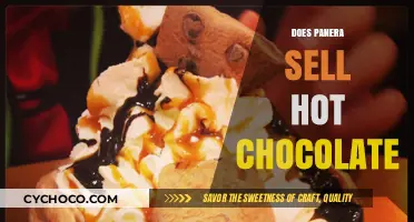 Savoring Warmth: Panera's Hot Chocolate Availability Explored