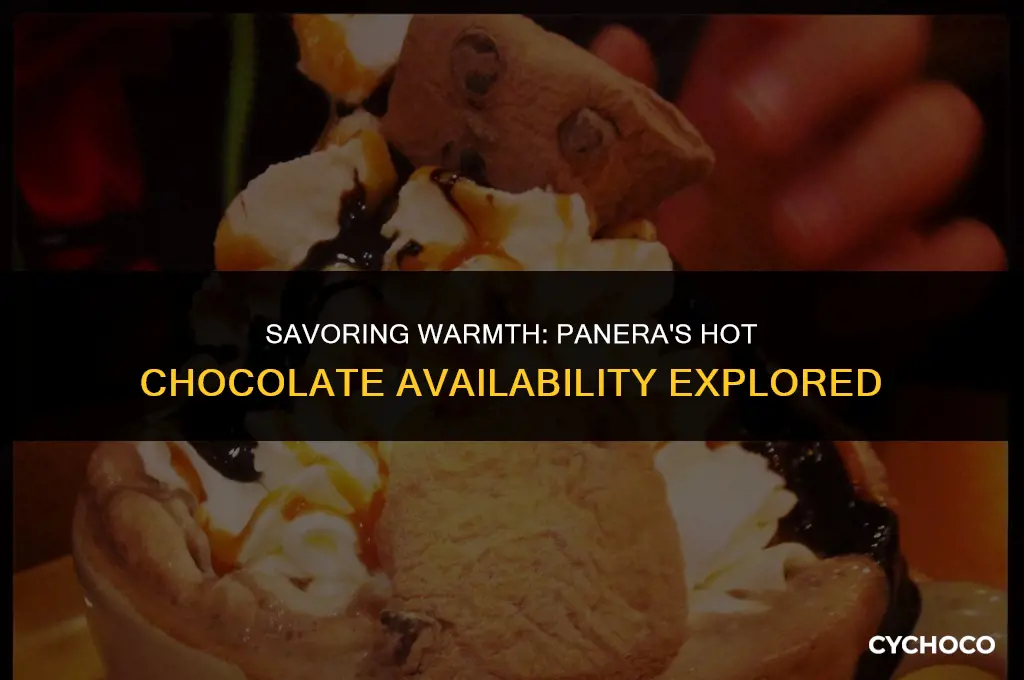 does panera sell hot chocolate