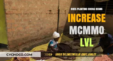 Boosting MCMMO Levels: The Impact of Planting Cocoa Beans