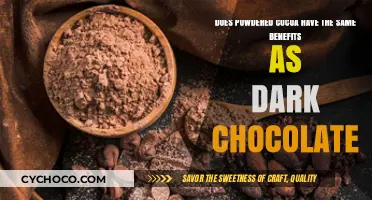 Exploring the Health Benefits of Powdered Cocoa vs. Dark Chocolate