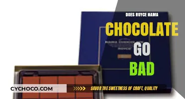 The Shelf Life of Royce Nama Chocolate: Does It Go Bad?