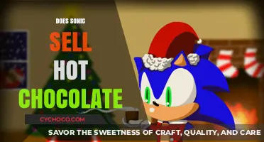 Savoring Sonic: Unveiling the Truth About Their Hot Chocolate Offerings