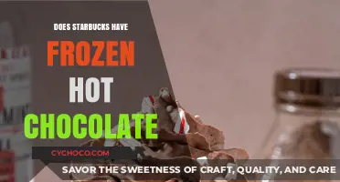Chilled Indulgence: Starbucks' Take on Frozen Hot Chocolate