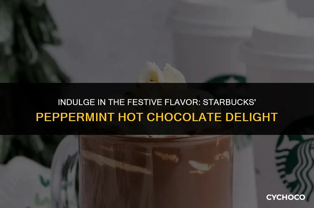 does starbucks have peppermint hot chocolate