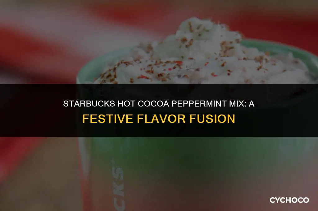does starbucks hot cocoa peppermint mix