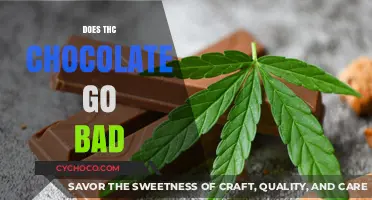 Does THC Chocolate Expire? A Guide to Cannabis-Infused Edibles' Shelf Life