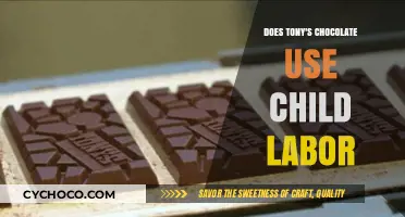 Unsweetened Truth: Child Labor Allegations in Tony's Chocolates