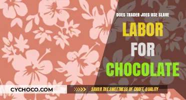 Unveiling the Truth: Trader Joe's Chocolate and Labor Practices