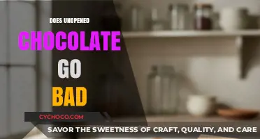 The Shelf Life of Unopened Chocolate: Does It Really Go Bad?