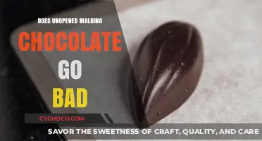 The Shelf Life of Unopened Molding Chocolate: Facts and Myths