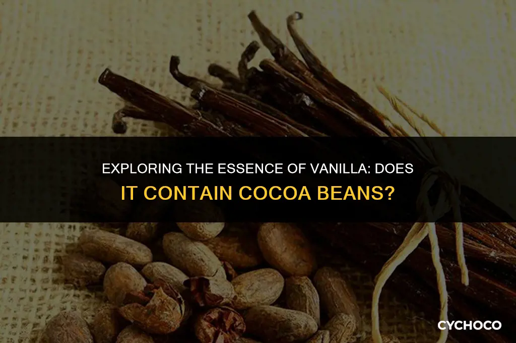 does vanilla have cocoa beans