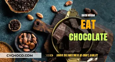 Can Vegans Enjoy Chocolate? Exploring Plant-Based Chocolate Options