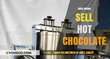 Savoring Winter: Does Wawa's Hot Chocolate Hit the Spot?