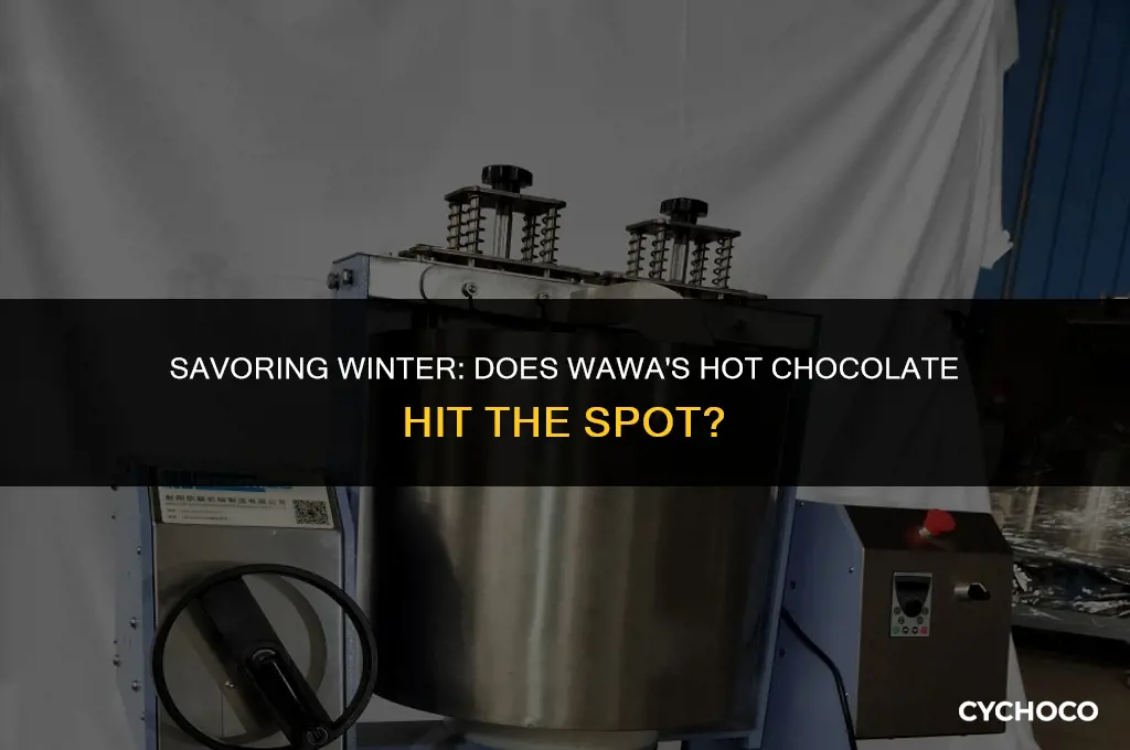 does wawa sell hot chocolate