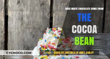 Unveiling the Sweet Truth: White Chocolate's Cocoa Connection