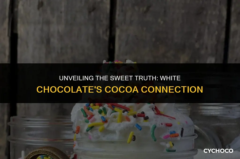 does white chocolate come from the cocoa bean