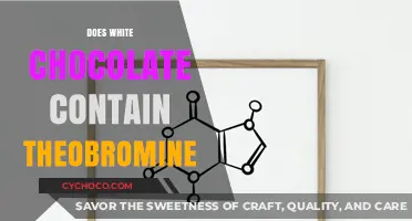 Does White Chocolate Contain Theobromine? Unraveling the Sweet Mystery