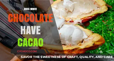 Unveiling the Mystery: Does White Chocolate Truly Contain Cacao?