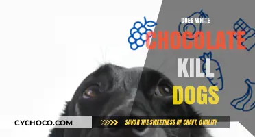 Is White Chocolate Safe for Dogs? Debunking Myths and Risks