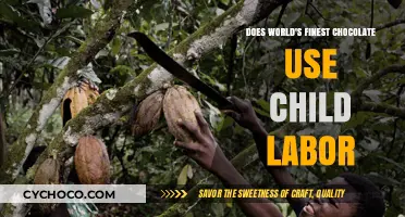 The Dark Secret Behind the World's Finest Chocolate: Child Labor Unveiled
