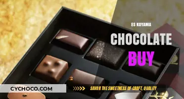 Indulge in the Richness of ES Koyama Chocolates - A Buyer's Guide