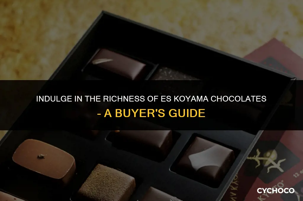 es koyama chocolate buy
