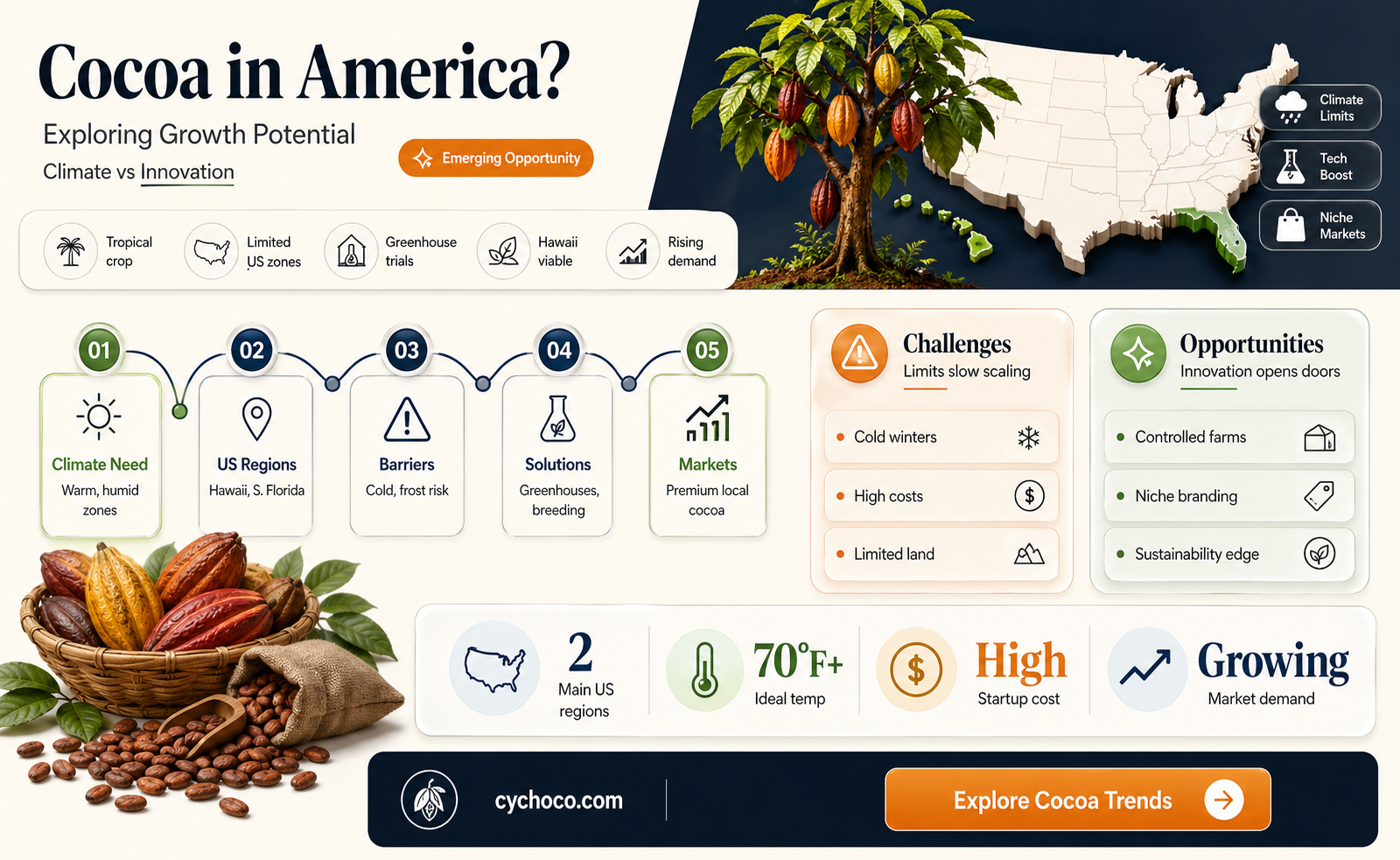 can america produce cocoa beans