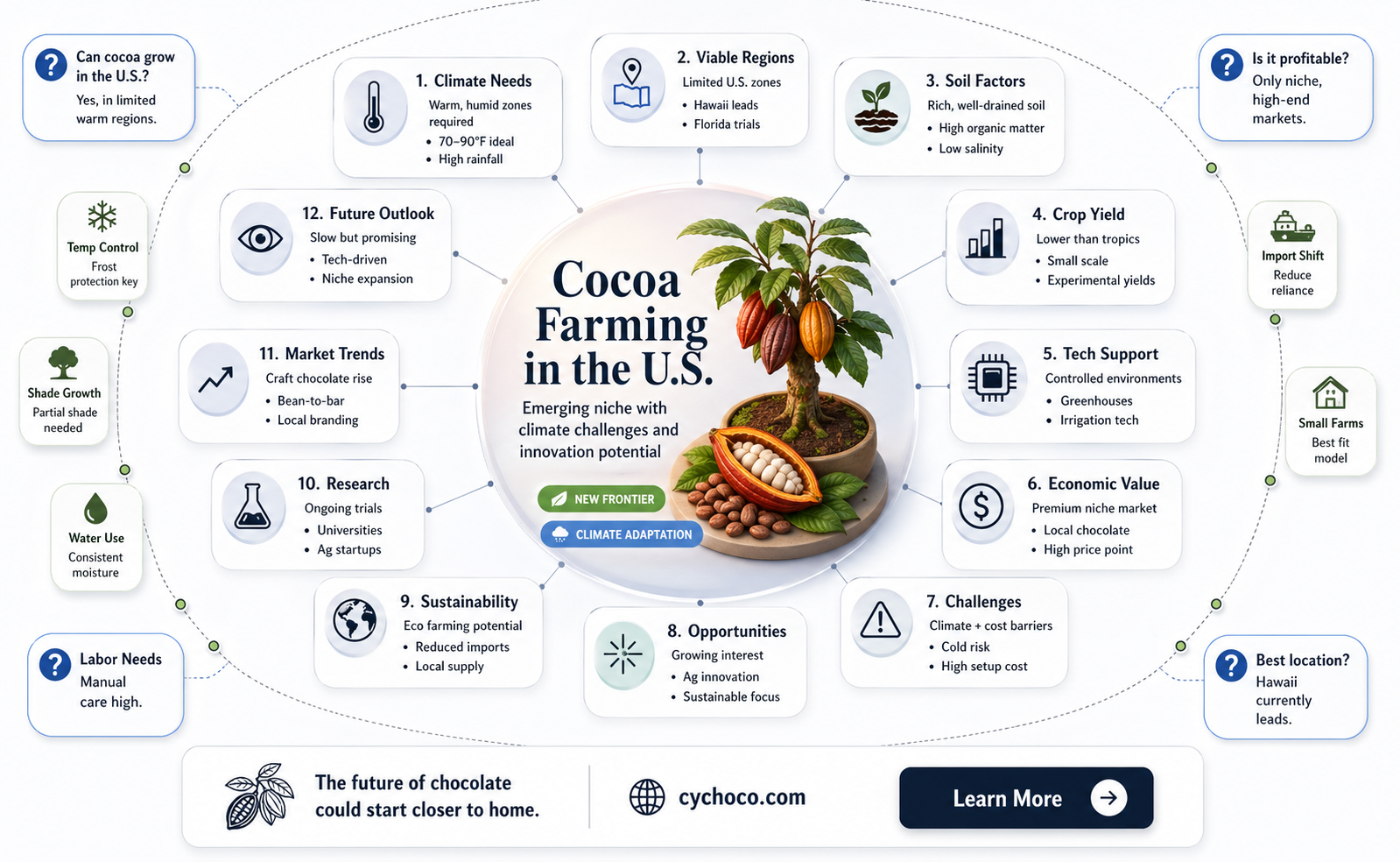 can cocoa beans be grown in the united states
