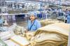 factory chocolate