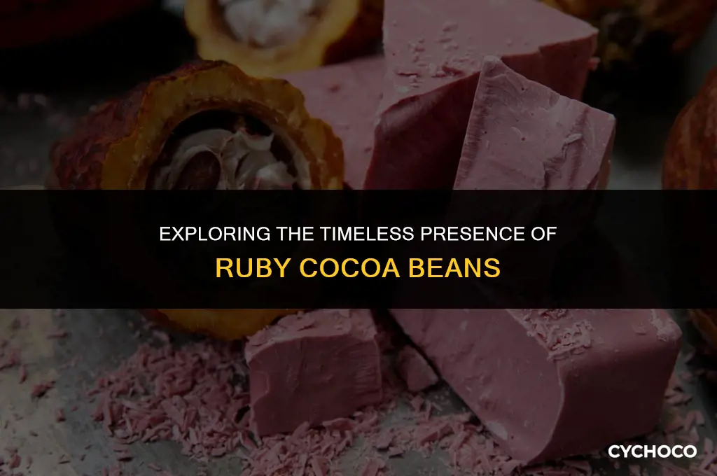 has the ruby cocoa bean always been arpund